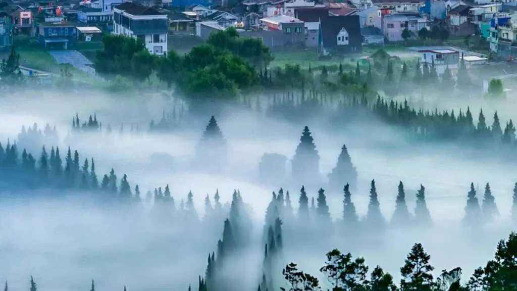 Jejak Dinasti Sanjaya Menguak Sejarah Candi Arjuna, Peninggalan Mataram Kuno Tertua di Dieng